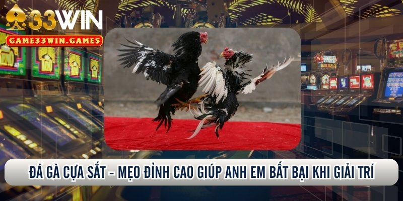 Đá gà cựa sắt