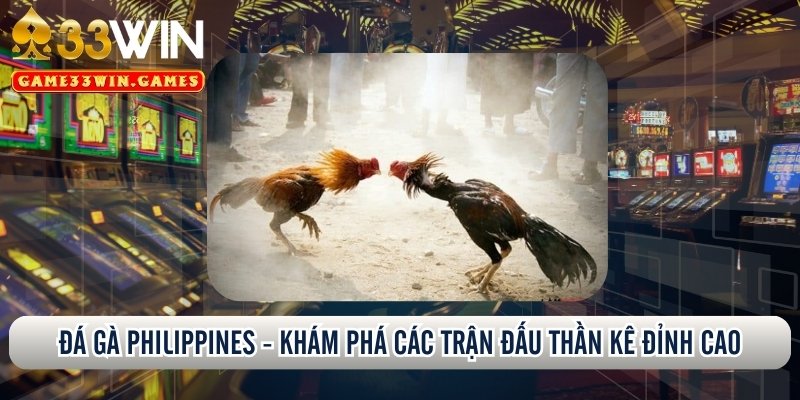 Đá gà Philippines